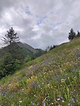 IMG_20240725_164553
