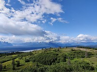 IMG_20240730_171502