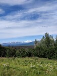 IMG_20240731_114835