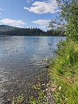IMG_20240815_154145