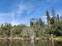 IMG_20240817_174052