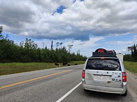 IMG_20240820_144145