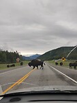 IMG_20240821_112942