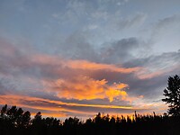 IMG_20240828_201054