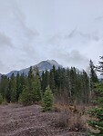 IMG_20241101_154641