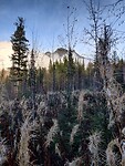 IMG_20241028_172308