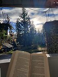IMG_20241028_161531