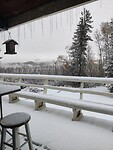 IMG_20241022_105150