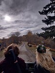 IMG_20241017_150112