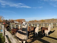 IMG_20241013_100231