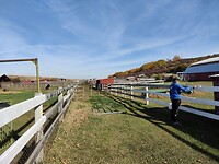 IMG_20241012_150239