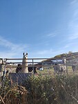 IMG_20241011_101612