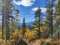 IMG_20241007_223316