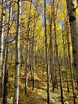 IMG_20241007_222643