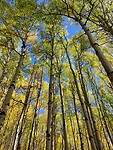 IMG_20241007_222515