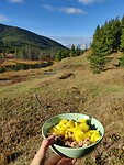 IMG_20241006_181144