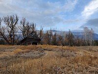 IMG_20241108_153010