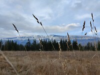 IMG_20241108_153554
