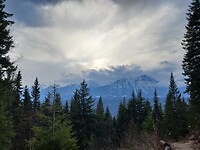 IMG_20241108_155124