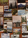 IMG_20241111_200126