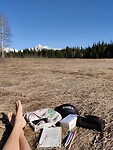 IMG_20250404_171150