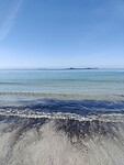 IMG_20250426_155654