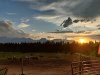 IMG_20250830_190739