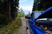 IMG-20250921-WA0017