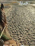 IMG_20251010_174712