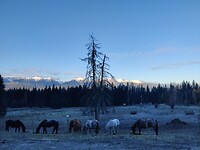 IMG_20251013_085622