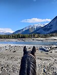 IMG_20251013_111949