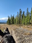 IMG_20251013_114759