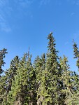 IMG_20251013_114939