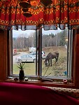 IMG_20251023_150049