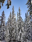 IMG_20251104_132334