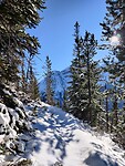 IMG_20251104_135307