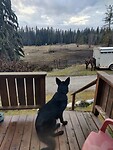 IMG_20251115_154644
