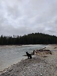 IMG_20251119_142435