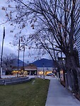 IMG_20251120_170408