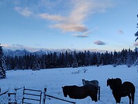 IMG_20251219_090341