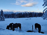 IMG_20251219_091338