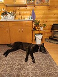 IMG_20251221_221535