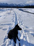 IMG_20260108_140125