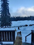 IMG_20260115_105524