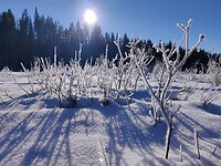 IMG_20260116_125817