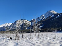 IMG_20260116_130246