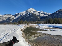 IMG_20260116_140543