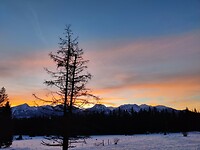 IMG_20260116_172502