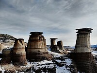 IMG_20260123_141611