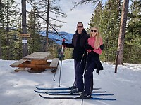IMG_20260204_113348